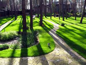 ����� ����. �������� ������� - ����������� 1