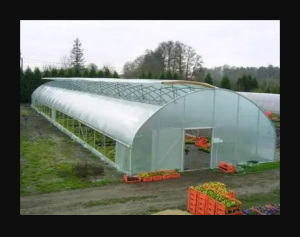 ����� ����� ��� ������� � ���������� Vatan Plastik - ����������� 1