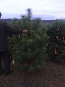 ����� ����� ����� � �������. - ����������� 1