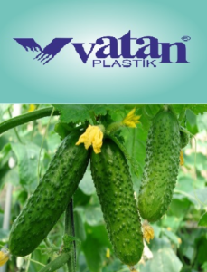 ����� ����� ������ - ����������� 1