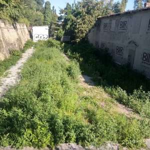 ����� �����, �������, �������. ����������� - ����������� 1