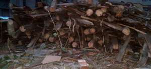 �����, �����. ��������. - ����������� 1