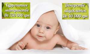 ����� ����� �����������. ��������� �����. ��������� ��������� - ����������� 1