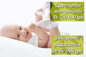 ����� ����� �����������. ��������� �����������. ��������� ��������� - ����������� 1