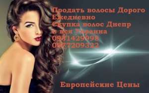 ����� ������ �� ����������� ����� - ����������� 1