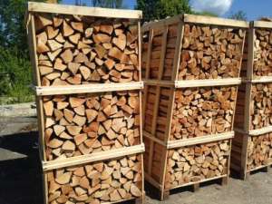 �����: ������, �����, �����, ���, ���� - ����������� 1