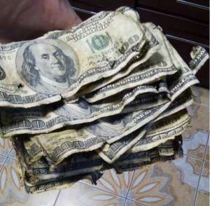 ����� ������ �����. ����� �����. ������ - ����������� 1