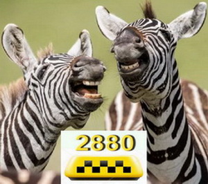 ����� ������ �������� ��������� �� 2880 - ����������� 1