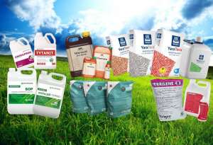 ����� ������� - ����������� 1