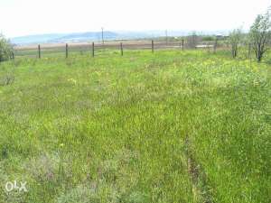 ����� ������� � �. �������� - ����������� 1