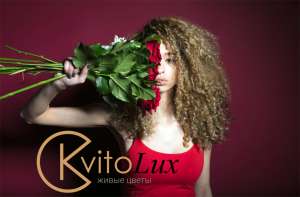 ����� �������- �������� ������� �� ��������� - ����������� 1