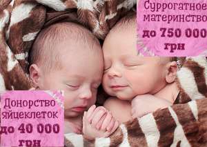 ����� ������� ���������� ���������. - ����������� 1