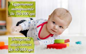 ����� ������� �����������.������������ ����������� ���������� ���������� - ����������� 1