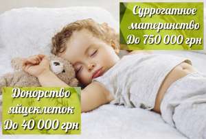 ����� ������� �����������.������������ �����������.���������� ���������� - ����������� 1