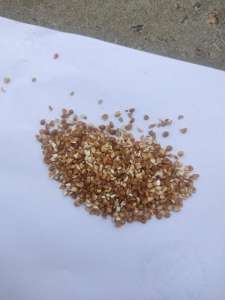 ����� �������� - ����������� 1