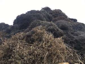 ����� �������� � �������� �������. - ����������� 1