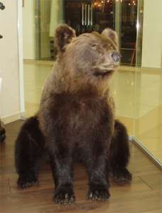 ����� �������� ��� ��������� - ����������� 1