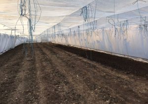 ����� �������� ��� ��������� ������������ 150 ��� Vatan Plastik. - ����������� 1