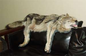 ����� �������� ������ ����� ������ � �� �������� - ����������� 1