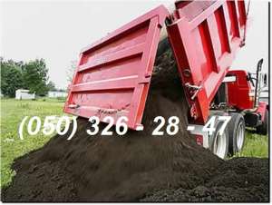 ����� �������� | ��������� (�������� �������) - ����������� 1