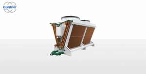 ����� ��������, ���������� ��������� GUNTNER - ����������� 1