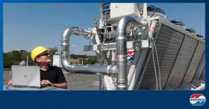 ����� �������� - ���������� ��������� (����������), ������������ ���������, �����������������, ����������� - ����������� 1