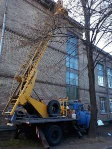 ����� ��������� 17 �.����������� ��������� � �����. ������������� - ����������� 1