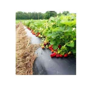 ����� ��������� ����� 2022 Vatan Plasti� - ����������� 1