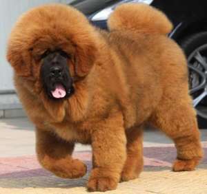 ����� ��������� ������� �������� ��� - ����������� 1