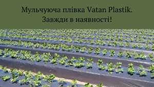 ����� ��������� ��������/�������� - ����������� 1