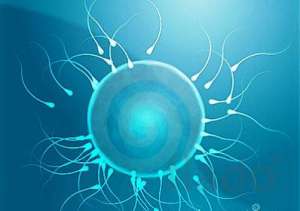 ����� ���������� ������ - ����������� 1