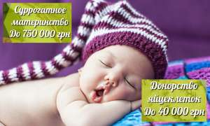 ����� ����������� | "SURmamka" | ����� ���������� �� 40 000 ��� - ����������� 1