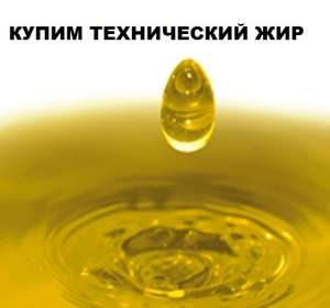 ����� ����������� ���. ����� ��������� �����. - ����������� 1