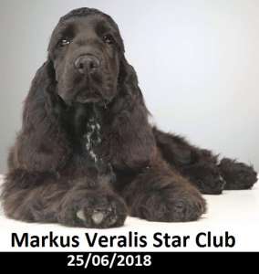 ����� ����������� ����� �������� � ����������� - ����������� 1