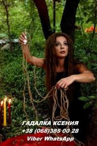 ����� �����������. ������� �� ����������. - ����������� 1