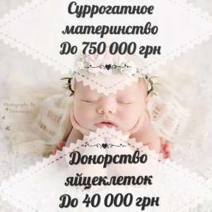 ����� ����������� ������� �����������.���������� ������������ ����������� - ����������� 1