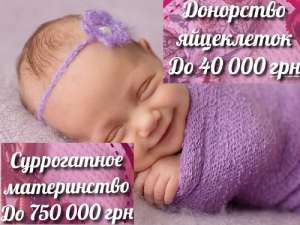 ����� ����������� "��������" || ���������� ������� ���������� || 40 000 ��� - ����������� 1