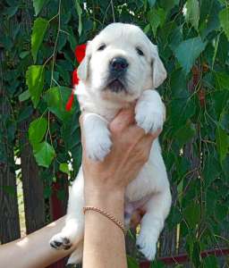 ����� ����������� ��������� �� ����� - ����������� 1