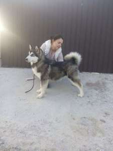 ����� ������������ �������� - ����������� 1