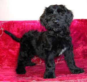 ����� �������������� - ����������� 1