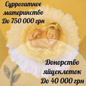 ����� �������������� �������� "���������" - ����������� 1