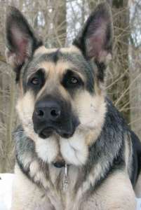 ����� ��������-����������� ������� - ����������� 1