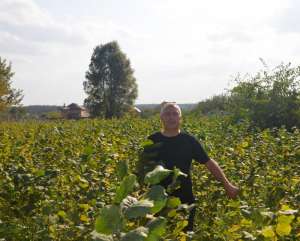 ������ 2-���� �������� ������� ����� �� ������ - ����������� 1