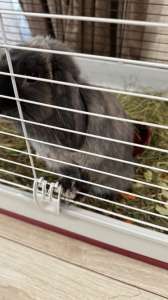 ������ - ����������� 1