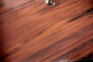 ������ Pink ����.20�� - ����������� 1