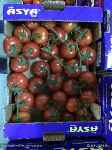 ������ � ����� �� ������� ������������� � ������ - ����������� 1