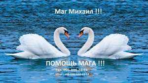 ������ � ����� ����� , ��������, �������� �� ����. ����� ������� . ����������� - ����������� 1