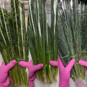 ������ � ������ �� �������� ������ � �����, ���������� � ������� - ����������� 1