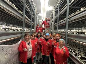 ������ � �������� ����. ��������� �� ������ � ���� ������ ����� - ����������� 1