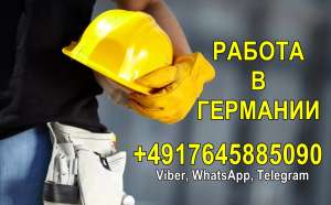 ������ � ��������: �����������, ���������, ���������, �������������� - ����������� 1